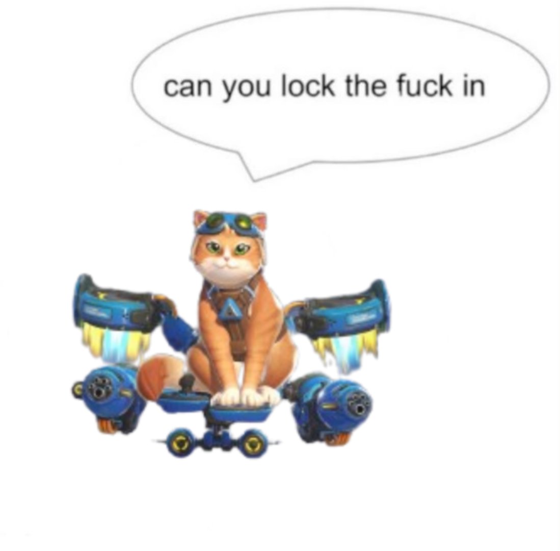 pachidvamari's tweet image. 