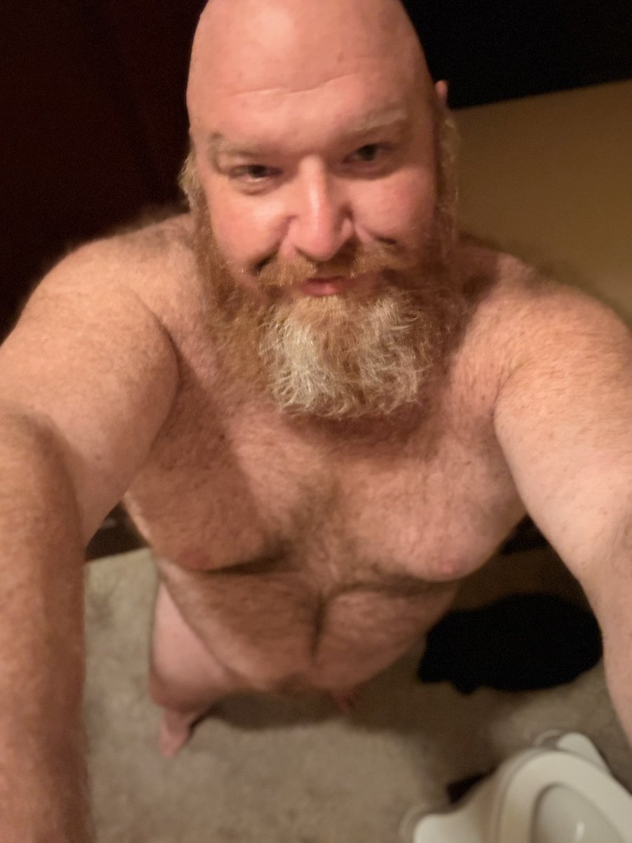 GingerBearTX tweet media