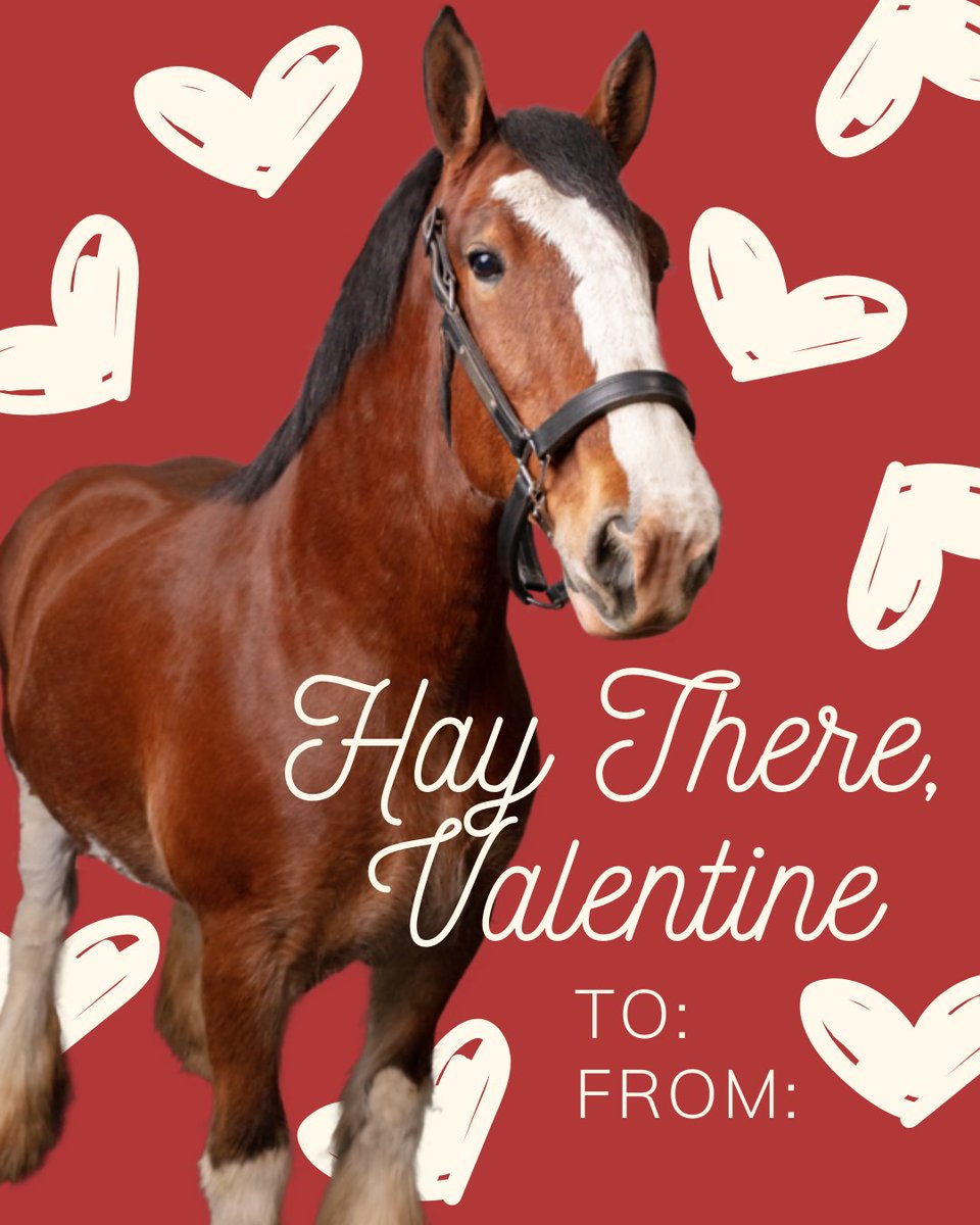 Warm Springs Ranch tweet media