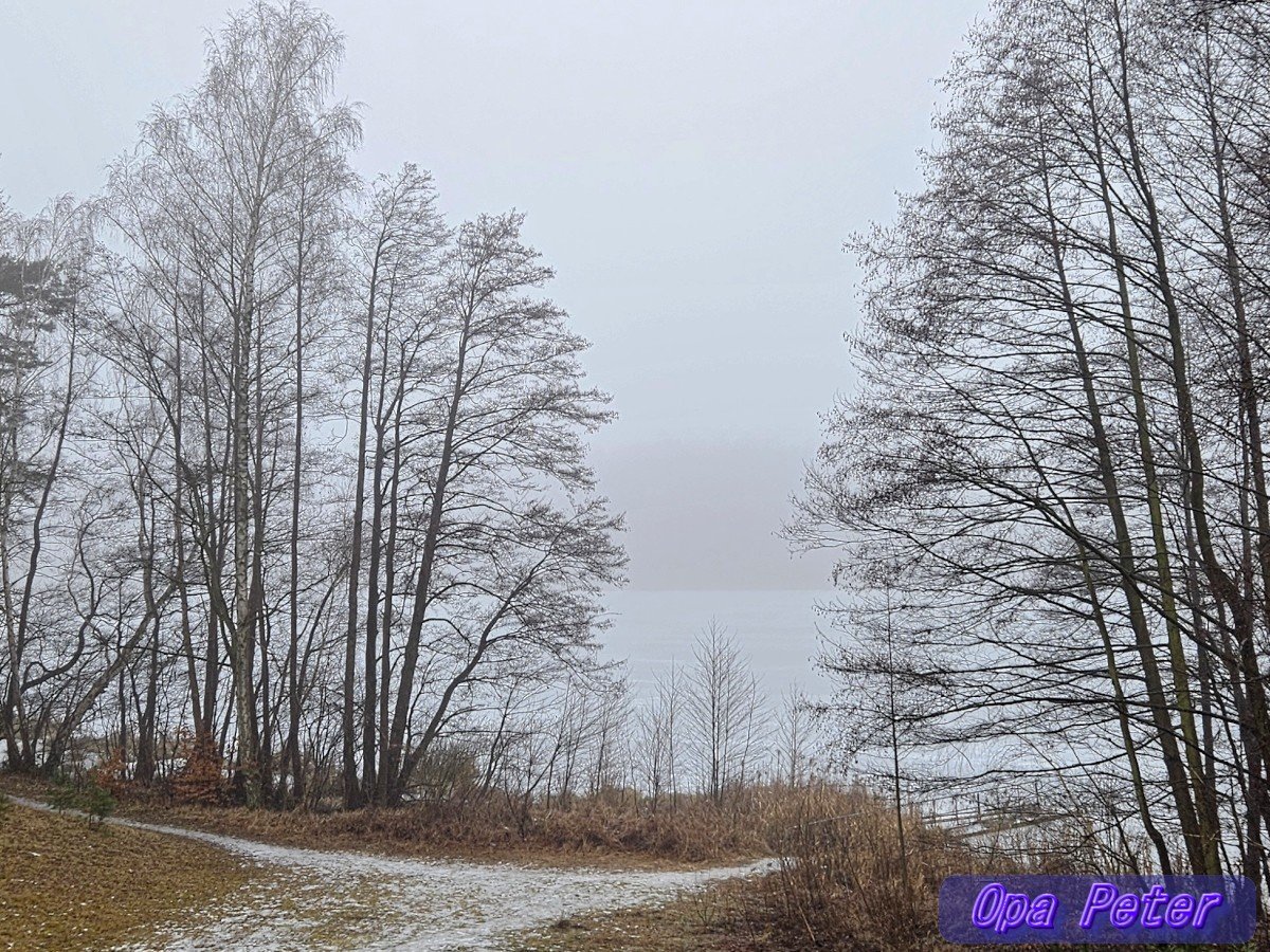 Moin allerseits! 
Schönes Wochenende! ☀️🍀💖 

➡️Die USA könnten Russland zwingen, den Krieg
zu beenden - MAGA hat aber andere Pläne.
China könnte es auch - hat auch andere Pläne.
Europa muss endlich Ernst machen.

Auf geht's, Früh-Runde mit🐕‍🦺Aimy.
#Briesen (Mark) #Oderland