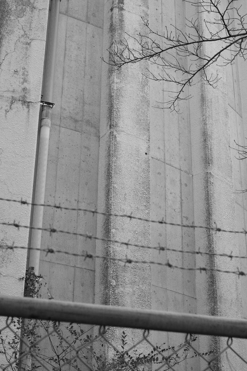 おはようございます。

#monochrome #photography