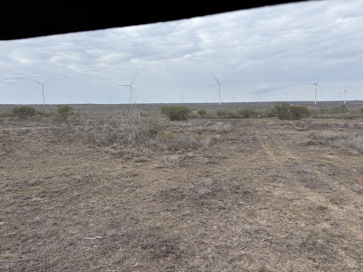 Pat Murphy tweet media