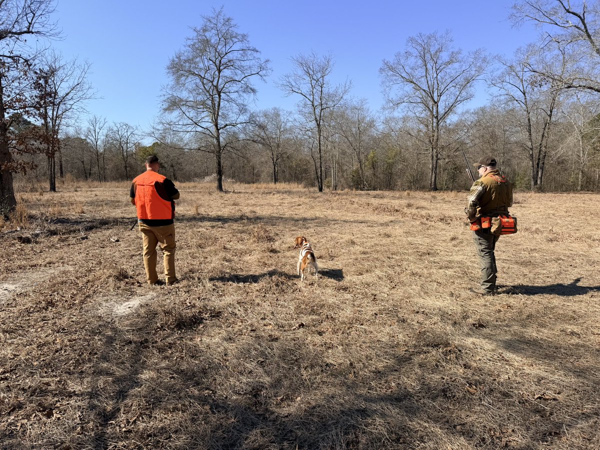 PastorStoeber's tweet photo. Got to spend some time behind a wonderful bird dog this morning with a guy from church! Good times! https://t.co/HsHnsmDbTN