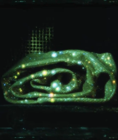 freya5542's tweet photo. 🌟 A shimmering serpent illuminated in the dark nature's glowing marvel! 📷 🌌 https://t.co/dC3RqmSGRZ