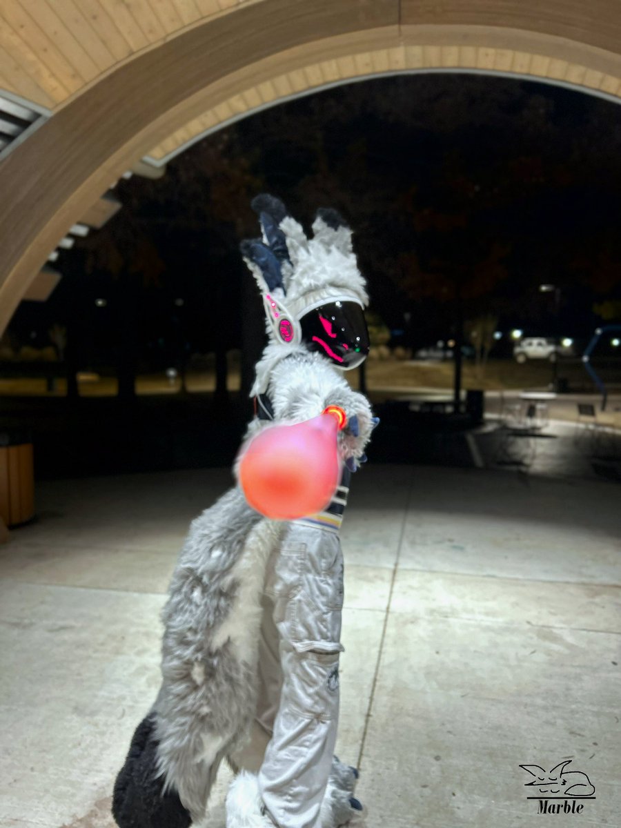 Kuiper 💫 🔜 TFF & TFS ‘26 tweet media