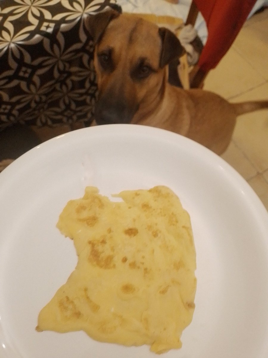 intenté hacer un gatito