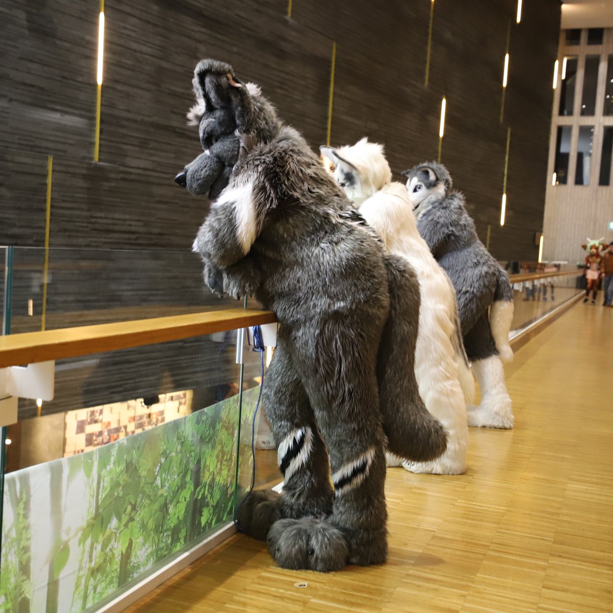 Naitas Fang 🔜 2dance 🔜 EF tweet media