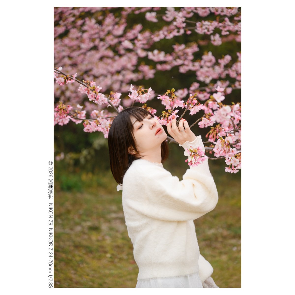 #ハシモトメロ さん　<a href="/hashimoto_melo/">ハシモトメロ</a> 
#ポートレート #portrait 
#Nikon #ニコン
#私とニコンで見た世界