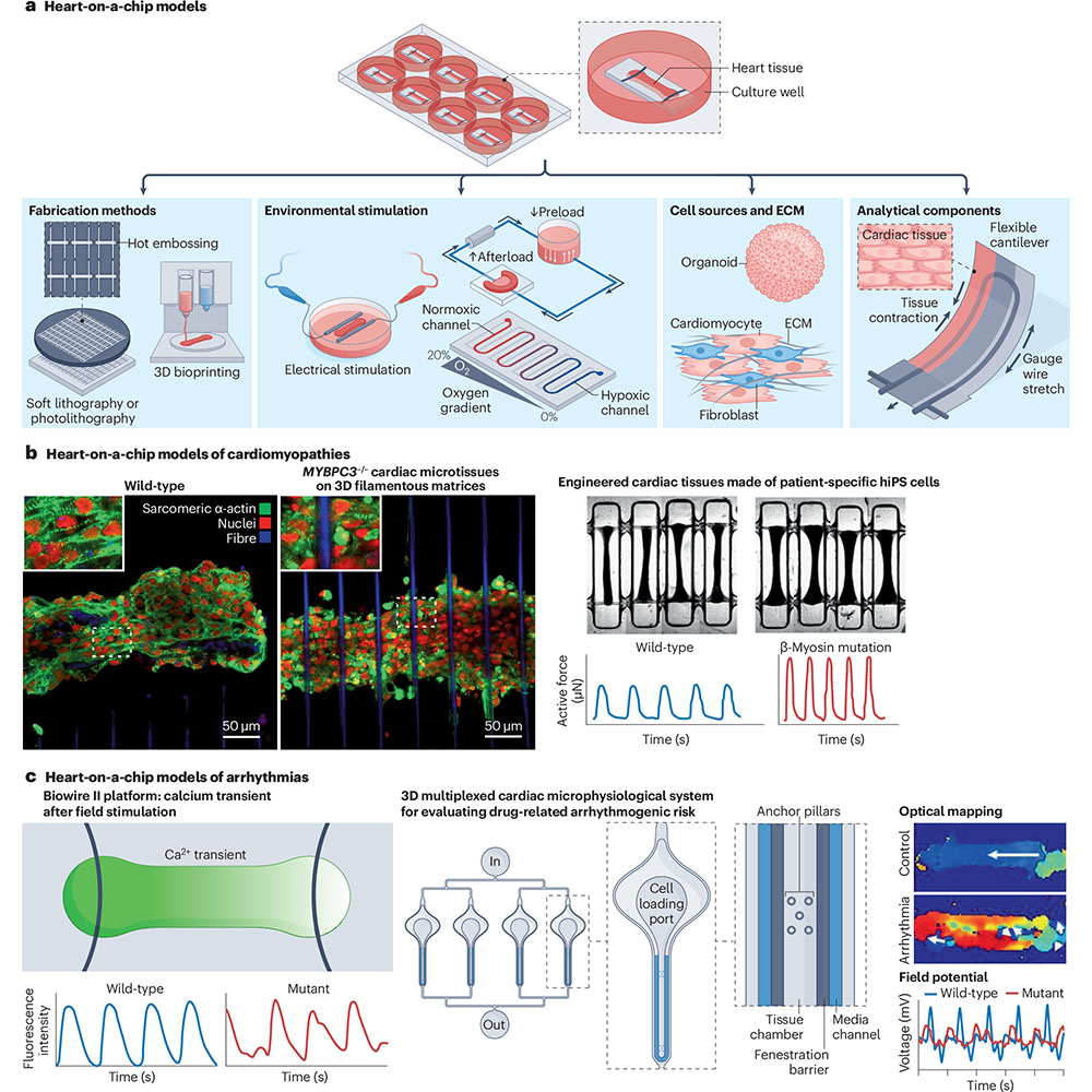 Nature Portfolio tweet media