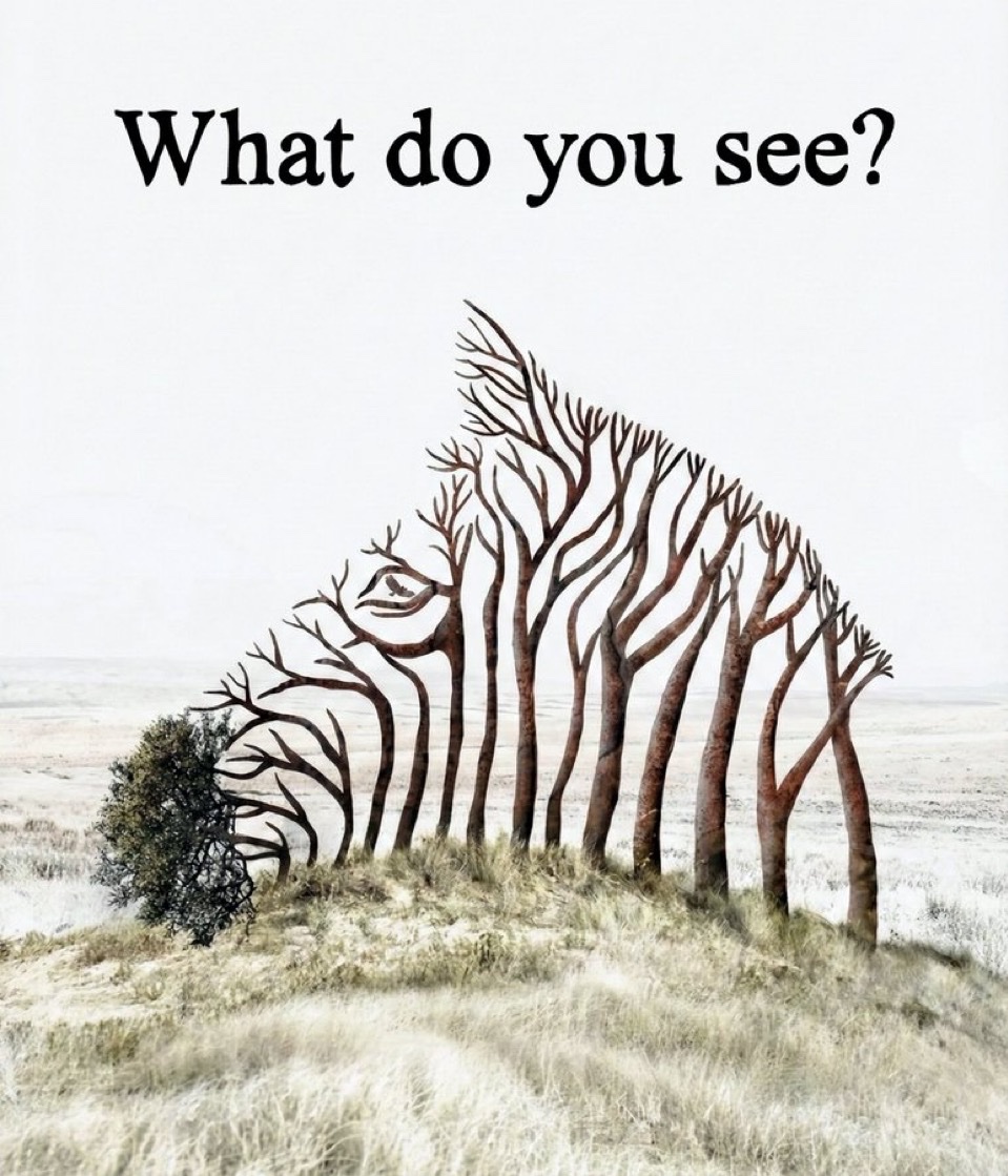 Honey 🛼 (@honeymoon250) on Twitter photo 