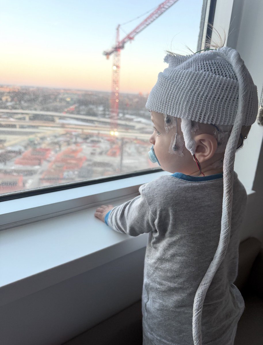 PaulsCorner-VerseQuest tweet media