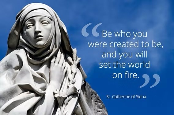 Sam Plucker tweet media