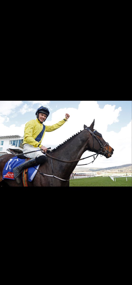 Cathal🇾🇪 tweet media