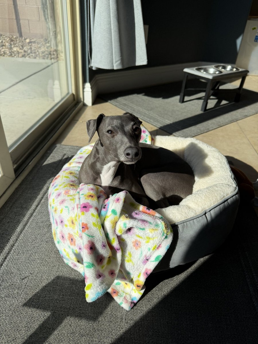 GLiTZY💎BRiTE tweet media