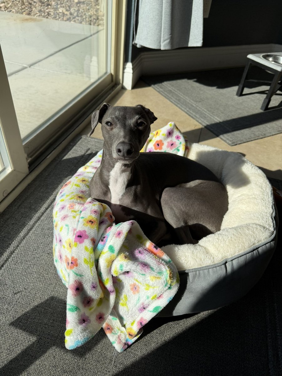 GLiTZY💎BRiTE tweet media