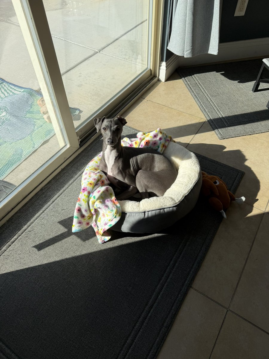 GLiTZY💎BRiTE tweet media