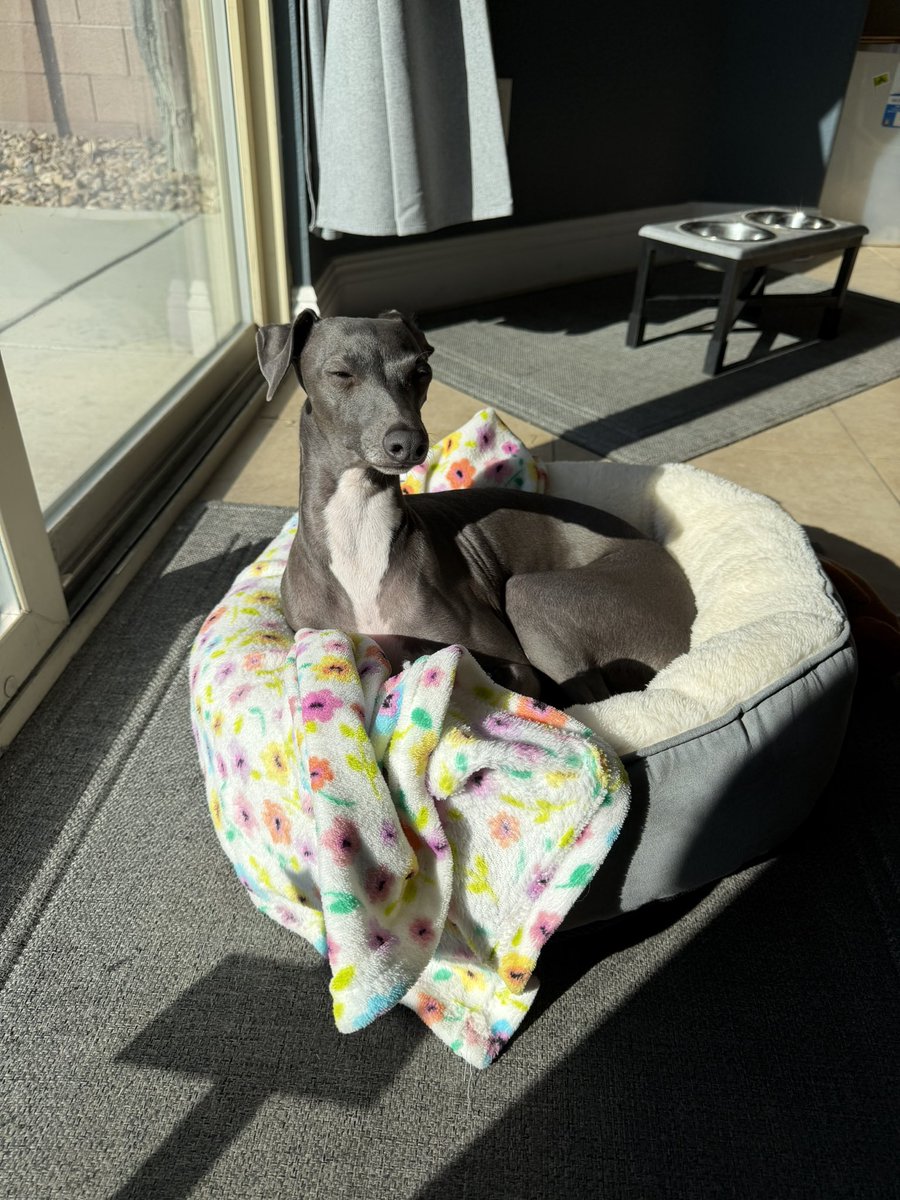 GLiTZY💎BRiTE tweet media