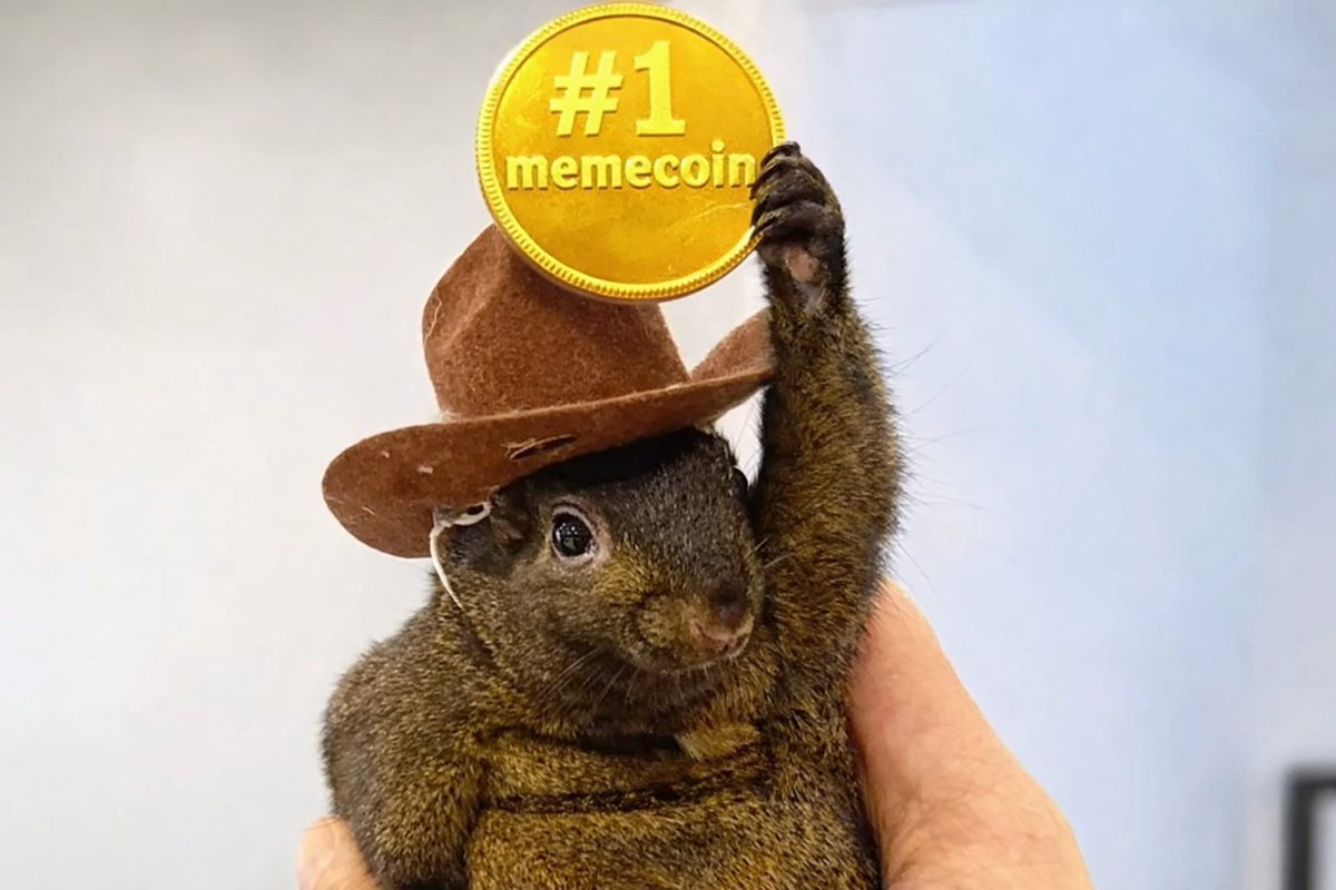 Hold tight and add where ya can. We are one post, comment or mention away from an instant 10x.  

Use this opportunity, don’t get used by it.  

As <a href="/Squirrel_Dad12/">Squirrel_Dad</a> always say… the key 🔑 is patience.   $PNUT live on! 📷 

DYsxx8FydPu7rshcYvPWQtetHtqz8Q8gXeR6CbxYpump