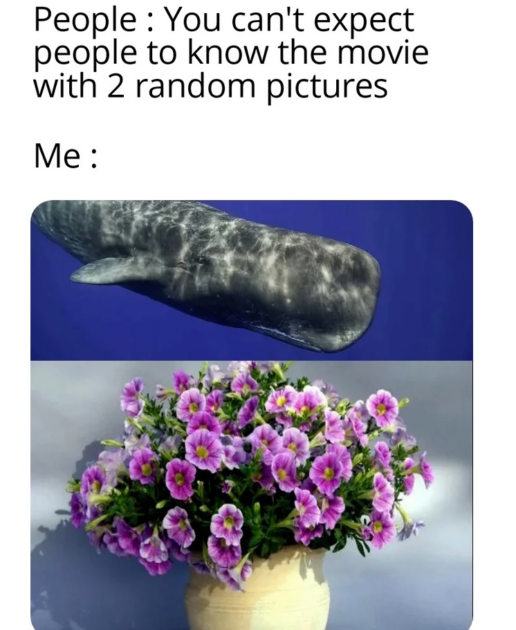 Spill The Memes tweet media