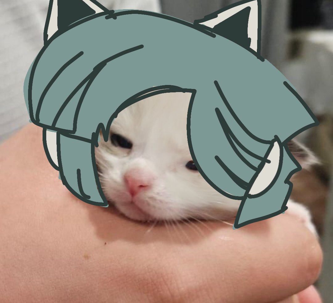 KachiKnock tweet media