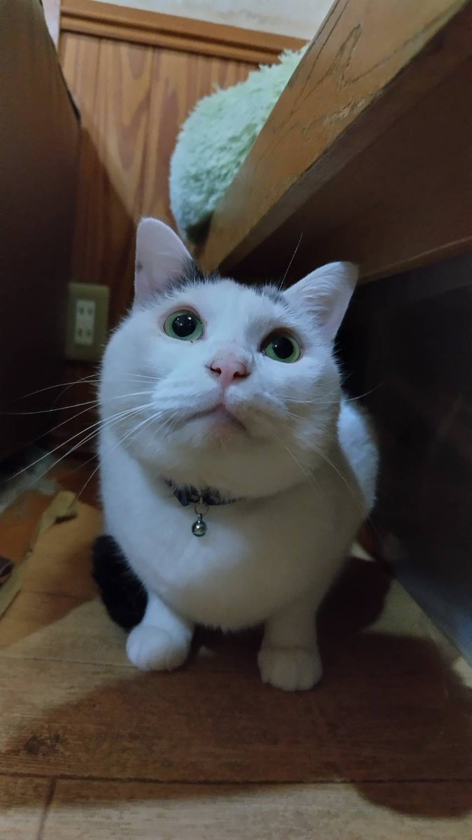 やきとりオススメ
バレンタインデー企画のテイクアウト(お持ち帰り)
炭火焼鳥
●ミニもも串50円
●ミニつくね串50円

まためちゃくちゃオススメは５本セット
※5本セットは物を選ぶことは出来ません。

ご注文は0471735888まで

炭火で29年の継ぎ足しタレが自慢