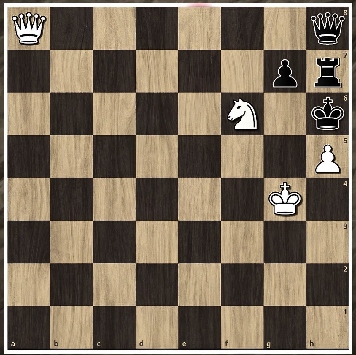 Chess Feed tweet media