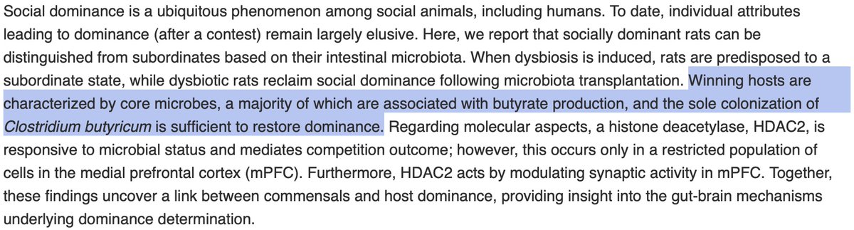 _aestheticprimal_ tweet media