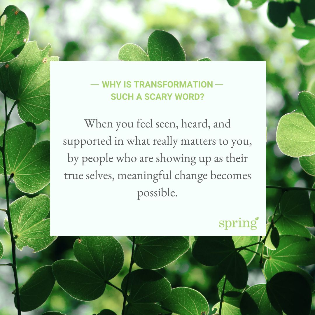 Spring Plans tweet media