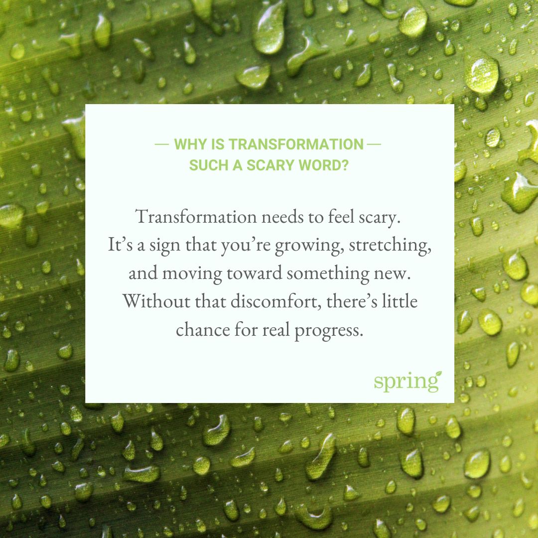 Spring Plans tweet media