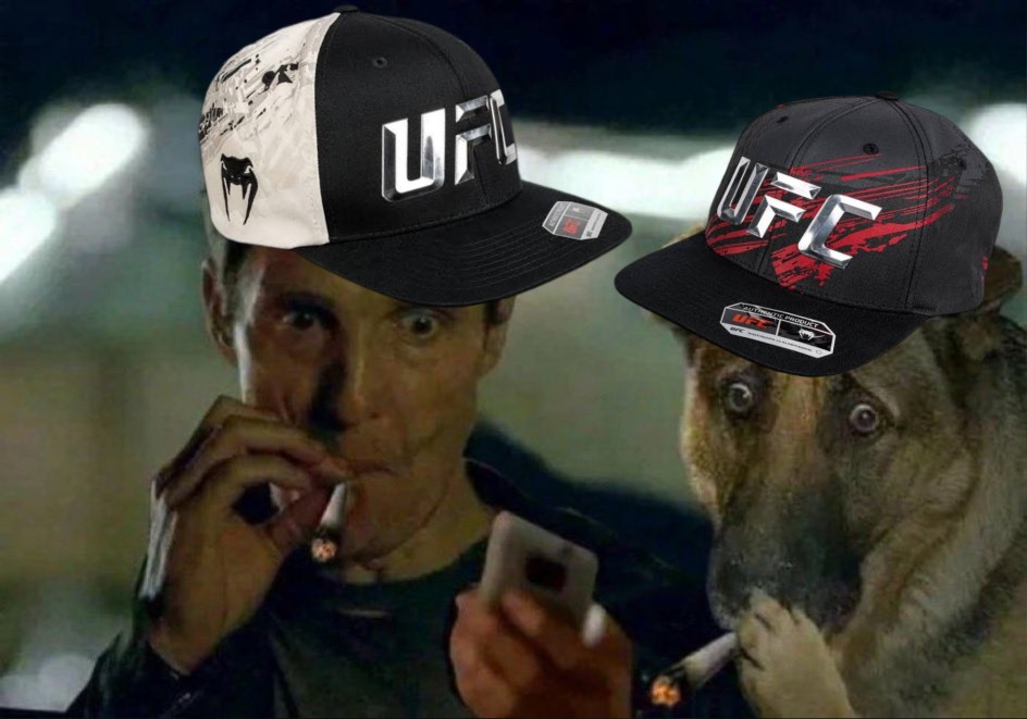 𝗫𝗮𝘃𝗲 🇦🇺 tweet media