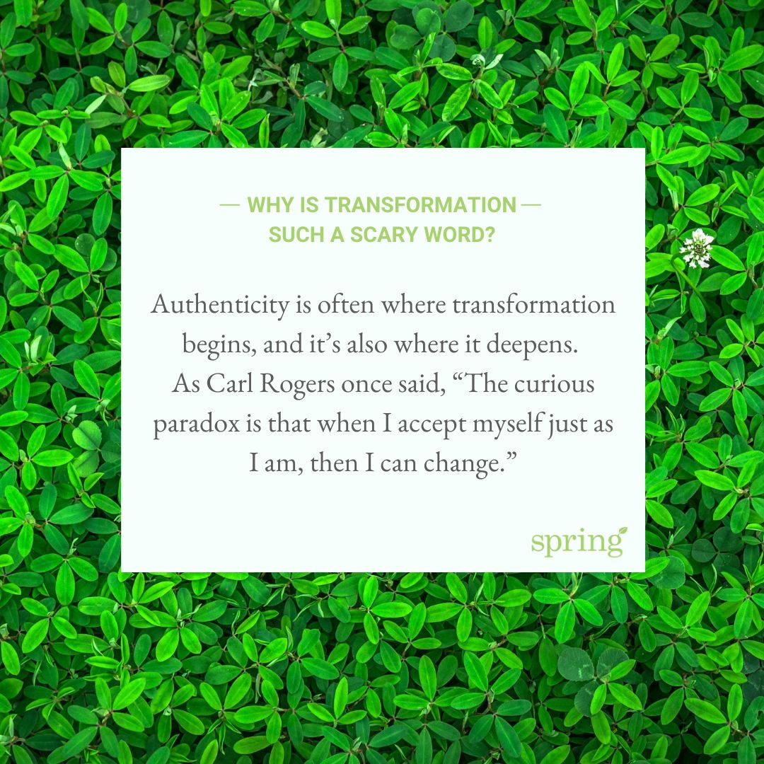 Spring Plans tweet media