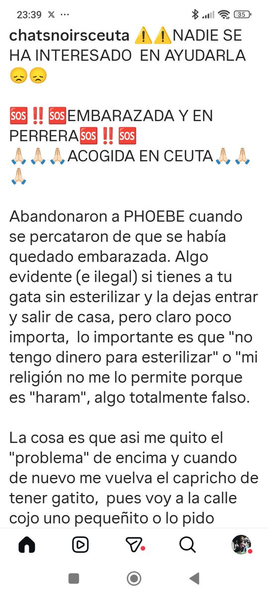 Marisa84157935's tweet photo. Abandonaron a #Phoebe cuándo vieron qué estaba embarazada! Está #perreraceuta y ha tenido sus bebés,pero muy estresante con ladridos 24h.Super cariñosa,muy jovencita
Se busca ACOGIDA temporal,ha de ser en #Ceuta.Perrera cubre gastos y #chatsnoirsceuta buscará adopciones
656479268 https://t.co/KJ9pwXrOjd