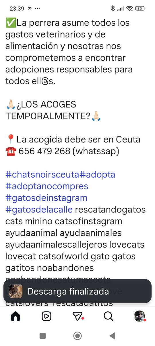 Marisa84157935's tweet photo. Abandonaron a #Phoebe cuándo vieron qué estaba embarazada! Está #perreraceuta y ha tenido sus bebés,pero muy estresante con ladridos 24h.Super cariñosa,muy jovencita
Se busca ACOGIDA temporal,ha de ser en #Ceuta.Perrera cubre gastos y #chatsnoirsceuta buscará adopciones
656479268 https://t.co/KJ9pwXrOjd