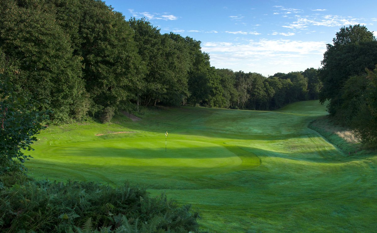 golfoffers tweet media