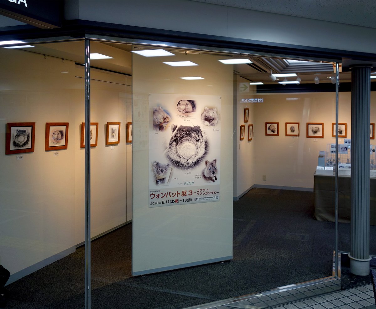 おはようございます🌟
ウォンバット展3、3日目が終了いたしました
昨日も寒い中、皆さんありがとうございました

原画を見てくださった沢山の方が驚いてくださいます
皆様、是非原画を見に来てくださいませ🙇‍♂️

今日、池田市長の滝沢様がお越しくださいました
驚きました　ありがとうございました🙇‍♂️