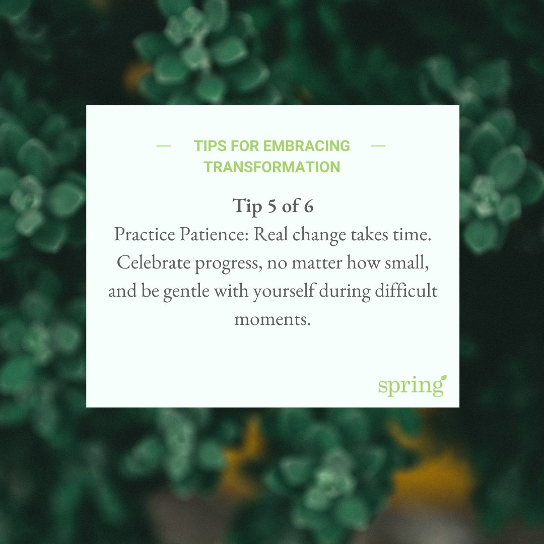 Spring Plans tweet media