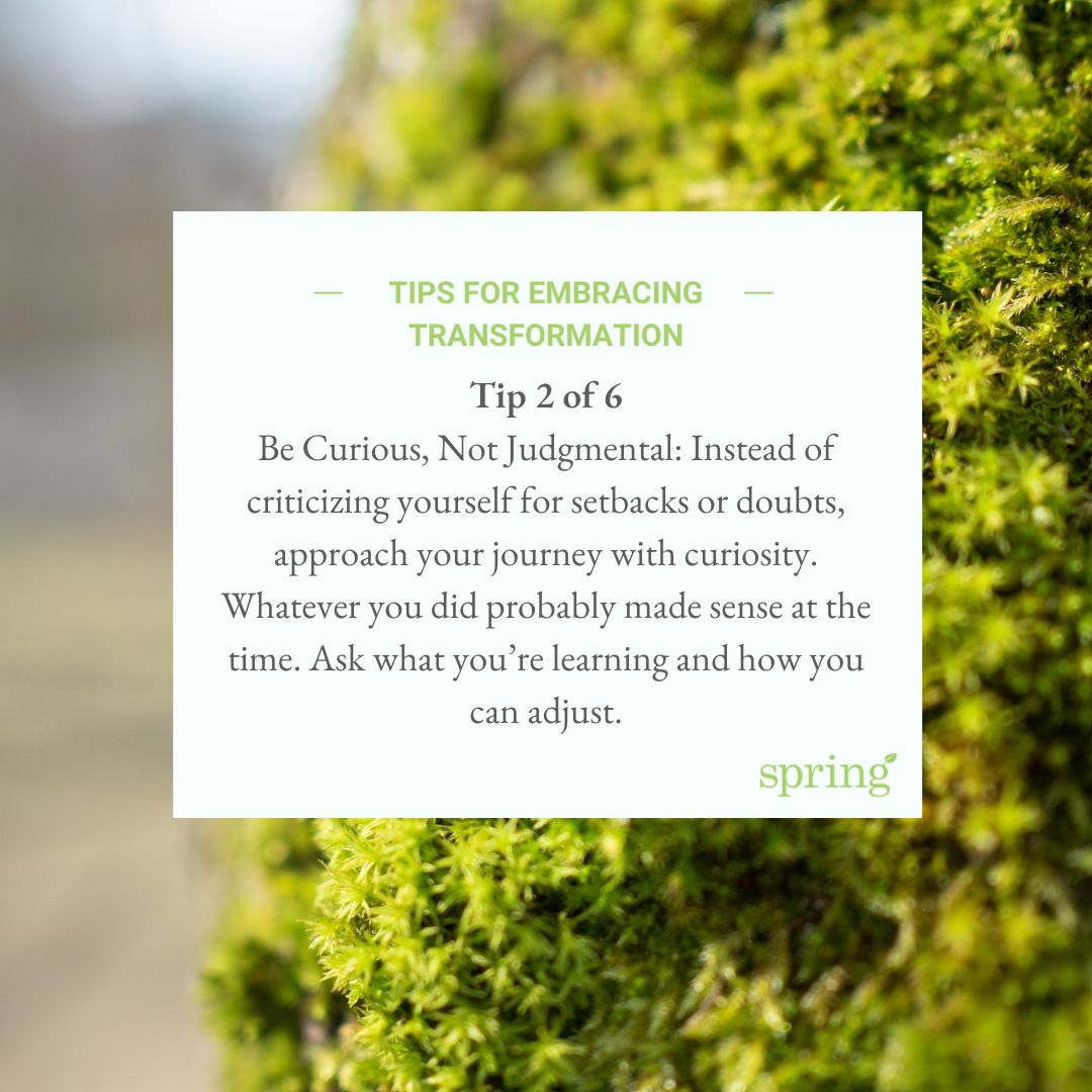 Spring Plans tweet media