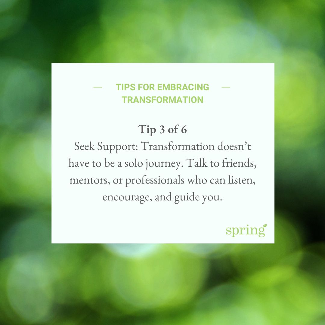 Spring Plans tweet media