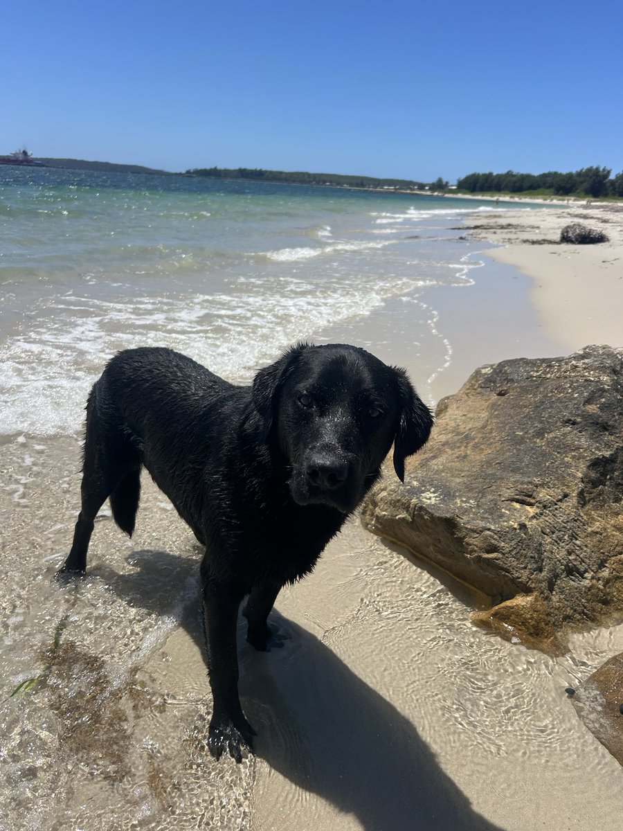 slsandpet's tweet image. After the devastation of Monday night 9 Feb in Sydney my Friday 13th was a pleasure filled day
Lunch out with my bestie see below ( from a different day) then dinner and the hilarious play “Art” with my daughter
#nocooking #allFUN