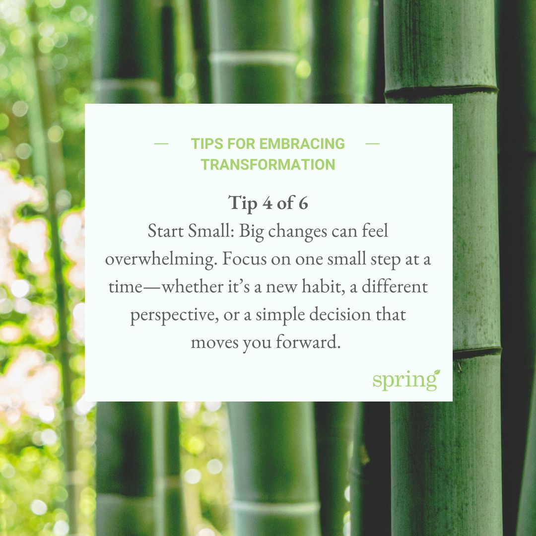 Spring Plans tweet media