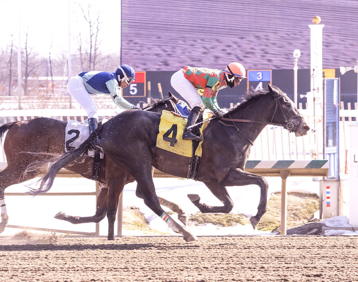 The Maryland Jockey Club, Inc. tweet media