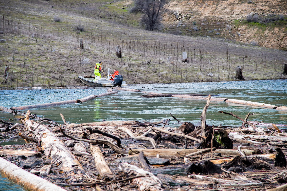 During the typically wetter fall and winter months, DWR’s civil maintenance crews patrol the branches of Lake Oroville to capture floating woody debris before it reaches the main body of the lake. Higher inflows wash woody debris into the reservoir, which can impact water