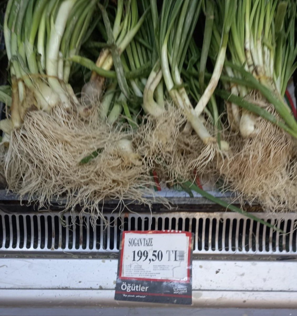 İsa bey, kıytırık soğanın fiyatı 199.50 TL.

Bu mu ülkenin ekonomisi ?

Hain  eksek büyüyecek topraklarda acı soğanın fiyatı kimin suçu acaba?

Bu mu şahlanmış ekonomi?