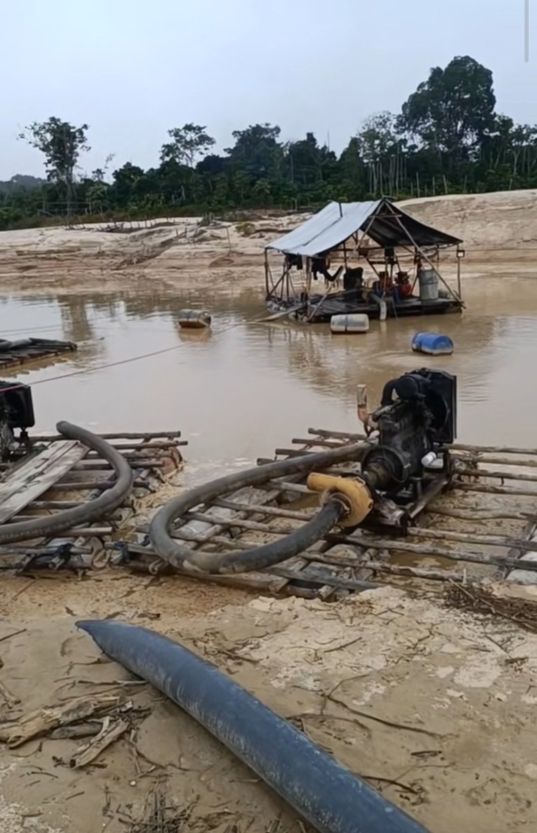 Fritz_A_Sanchez's tweet photo. #Atencion #Venezuela 

El extractivismo aurífero ilegal no se detiene al #SurDelOrinoco , incluso avanza en infraestructura informal para ampliar su capacidad d procesamiento de material, lo q implica una mayor devastación ambiental 😞

📸 Riberas del río Icabarú #GranSabana https://t.co/H20gvkWSBc