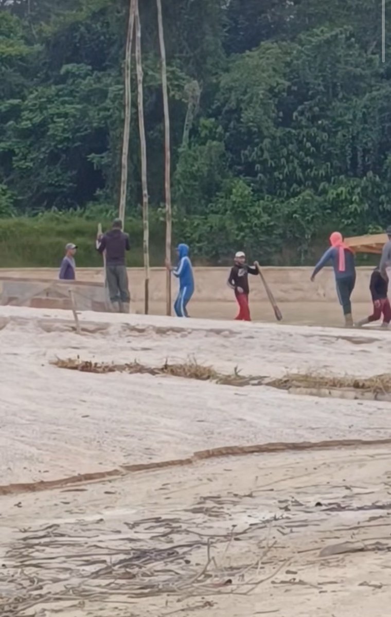 #Atencion #Venezuela 

El extractivismo aurífero ilegal no se detiene al #SurDelOrinoco , incluso avanza en infraestructura informal para ampliar su capacidad d procesamiento de material, lo q implica una mayor devastación ambiental 😞

📸 Riberas del río Icabarú #GranSabana