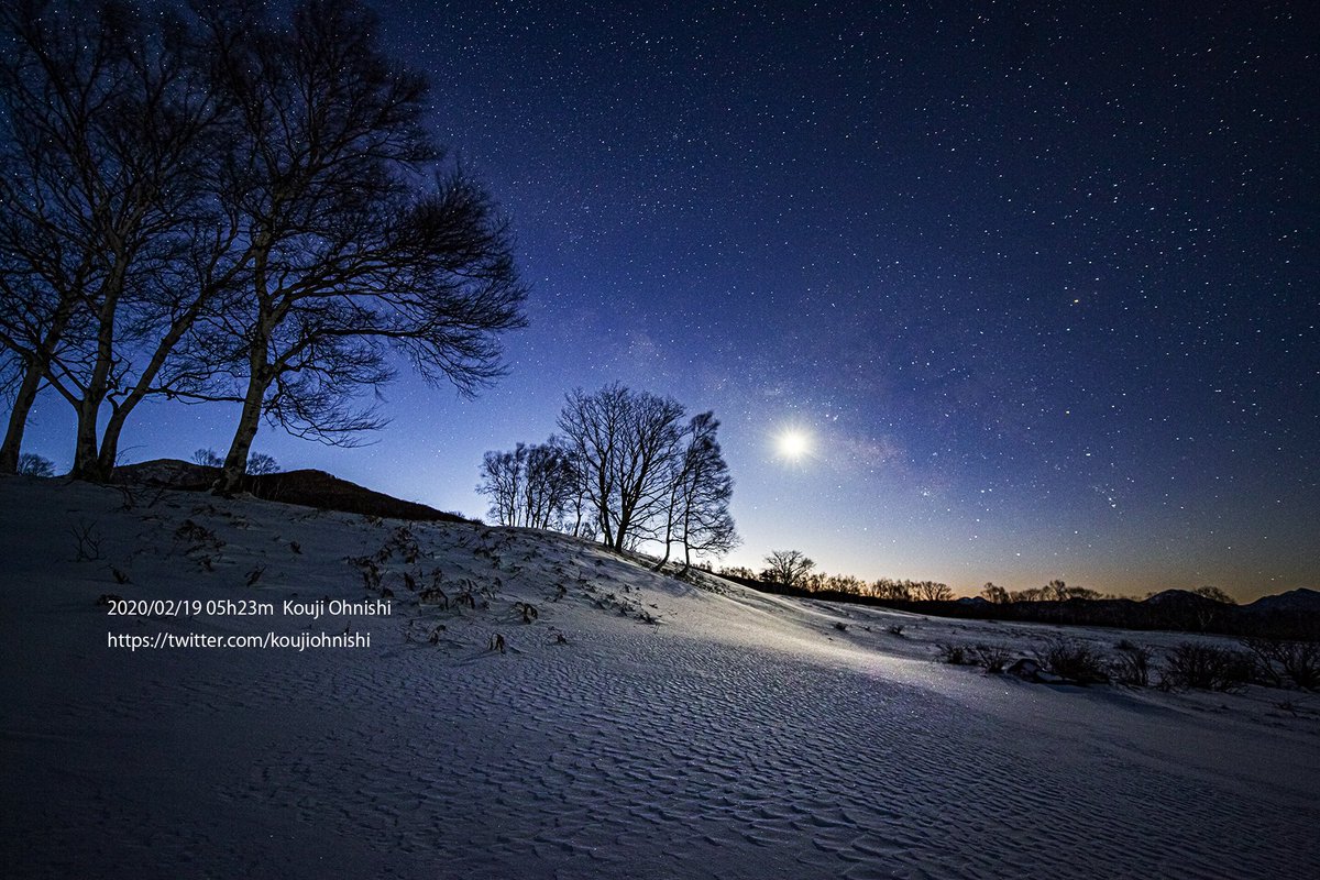 #今日の星景写真 2026年2月14日 
「夜明けの光のなかへ」
撮影:2020/02/19@上田市

夜明けの空に
夏の天の川が昇ってくる

さそり座が昇り切り、
いて座の星たちも見えてくる
冷たい空気の中で夜明けの薄明に
星たちが溶けてゆく

#さそり座
#天の川
#長野県は宇宙県
