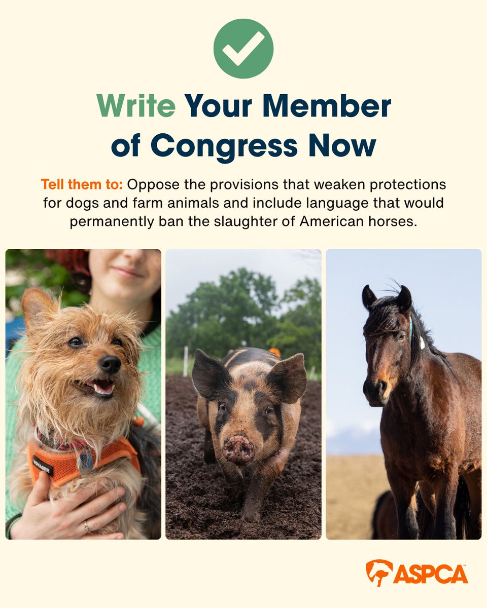 BREAKING UPDATE‼️ Members of Congress just introduced a bill that would REMOVE protections for dogs suffering in puppy mills &amp; farm animals and fails to protect American horses. Tell your legislators to REJECT the harmful language in this bill! ➡️ aspca.org/farmbill?utm_c…