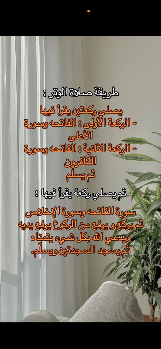 كلارا 🦋 tweet media