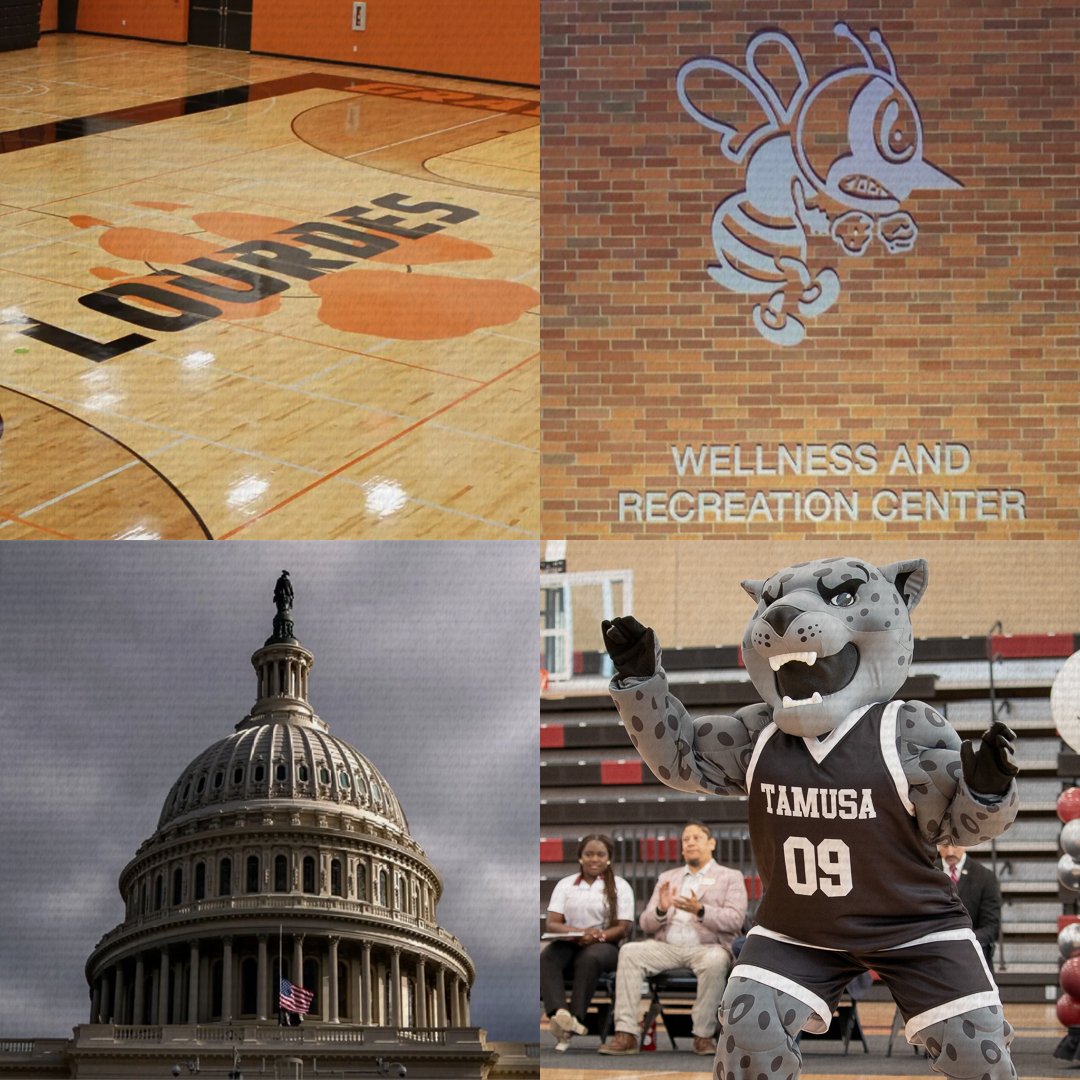 NAIA.ticker tweet media