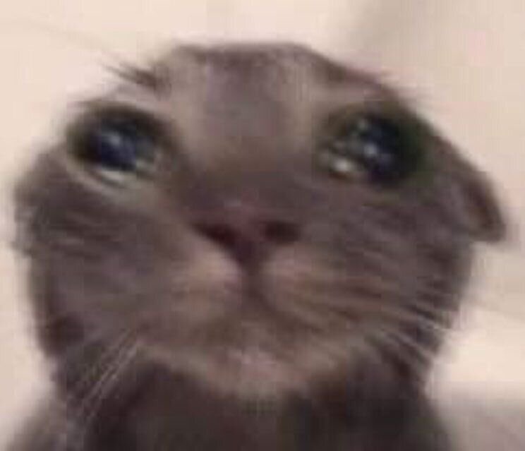 Sam 87/86 | KARMA tweet media